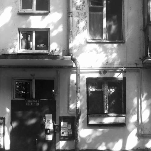 Photo #8586164
