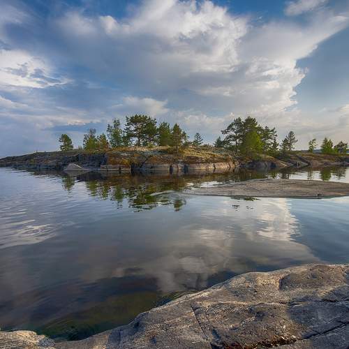 Photo #8586766