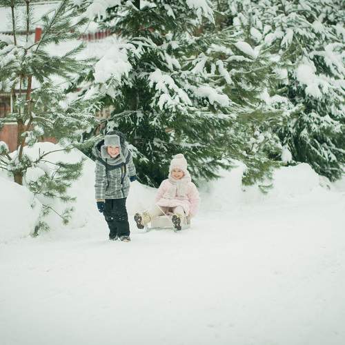 Photo #8587049