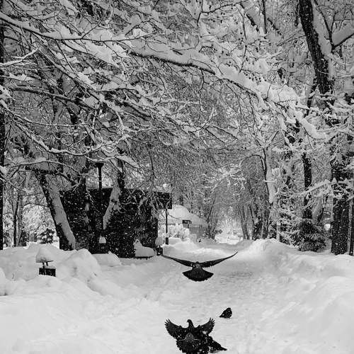 Photo #8587343