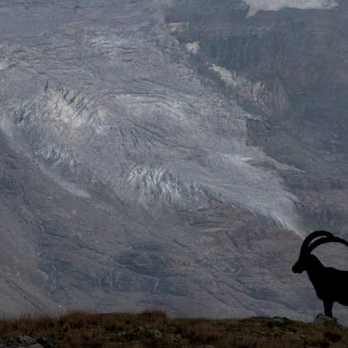 The Ibex and the glacier