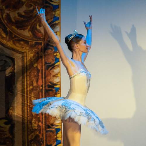 Photo #8588487