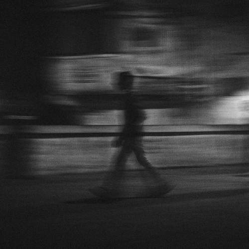 Photo #8588515