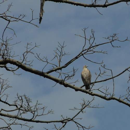 Photo #8589110