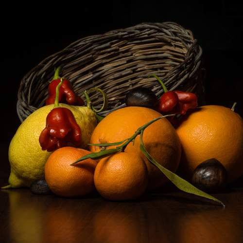 Photo #8589156