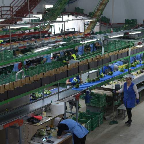 Photo #8589215