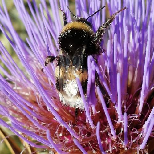 Photo #8589319