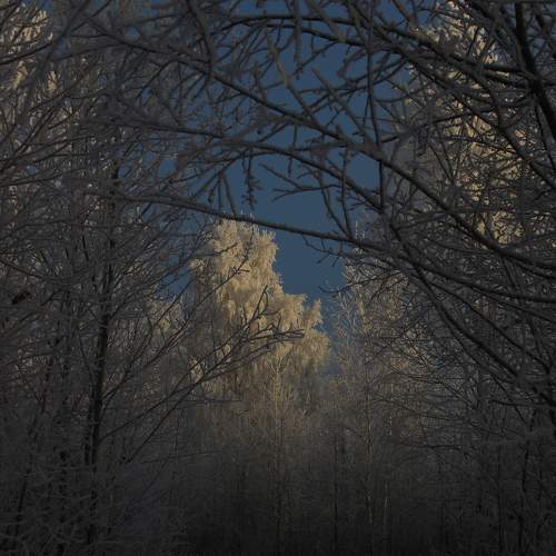 Photo #8589447