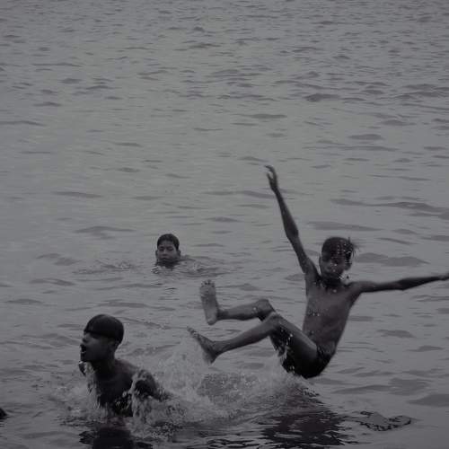 Photo #8589548