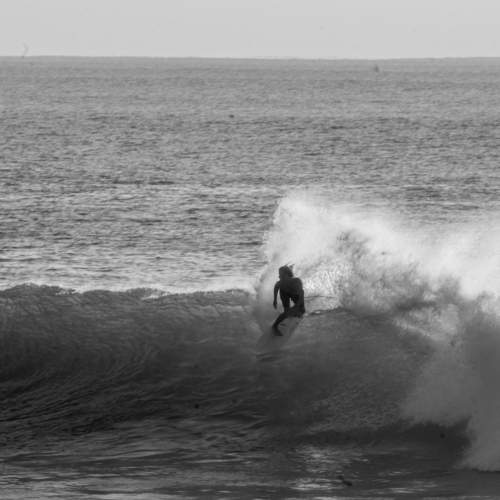 Photo #8589785