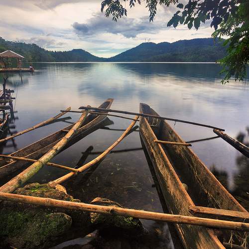 Photo #8589820