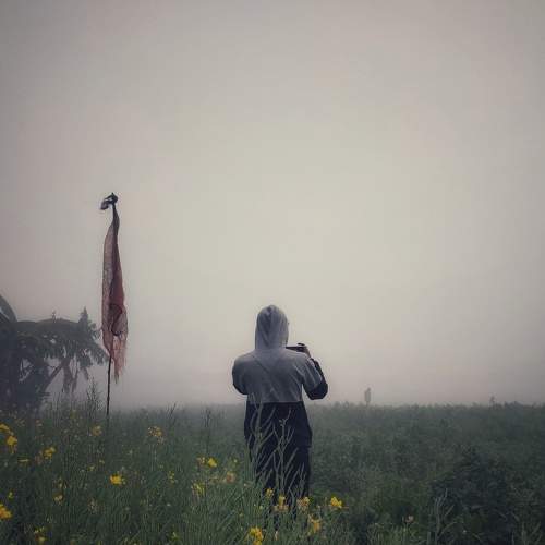 Photo #8589837