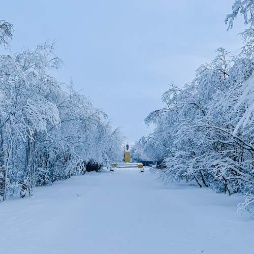 Photo #8589960
