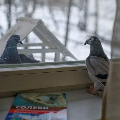 Photo #8590224