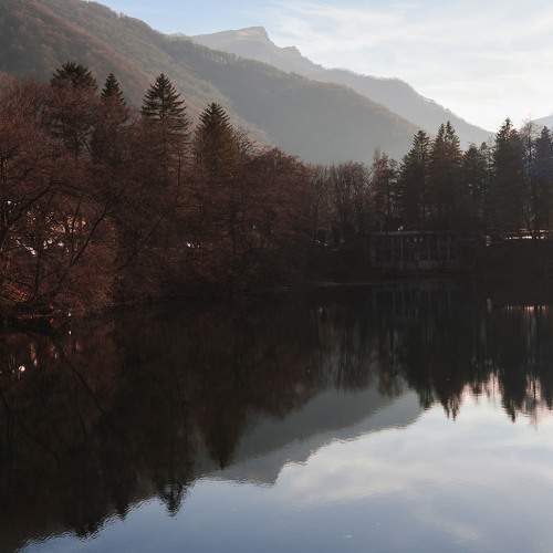 Photo #8590446