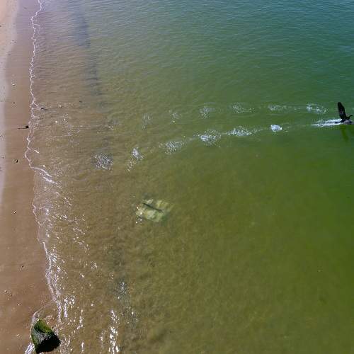 Photo #8590643