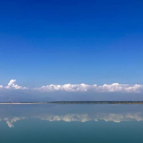 Photo #8590735