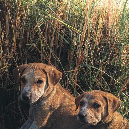 Photo #8592146