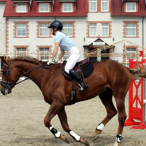 Photo #8592167