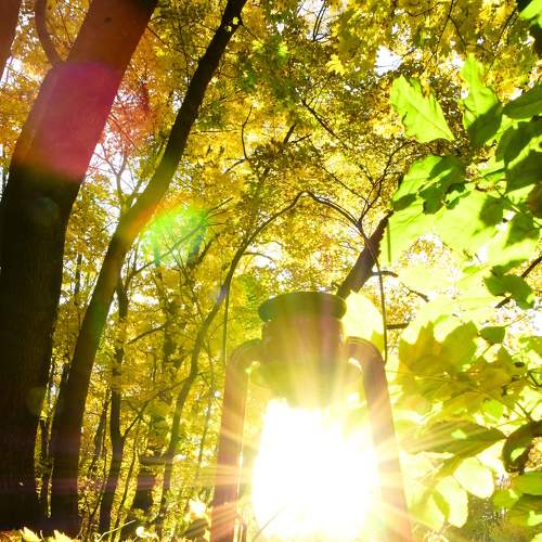 Photo #8592374