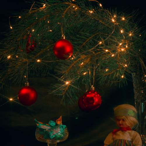 Photo #8593056