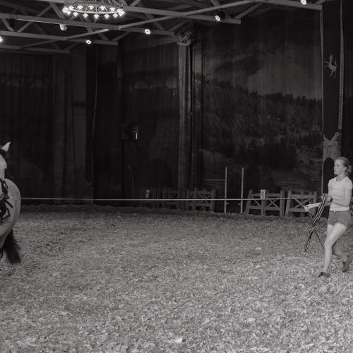 Photo #8593103
