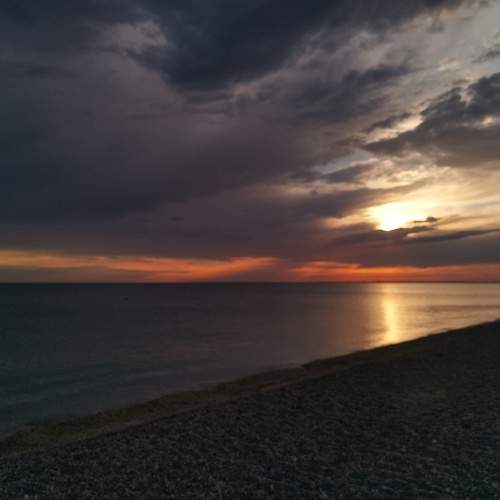Photo #8593261