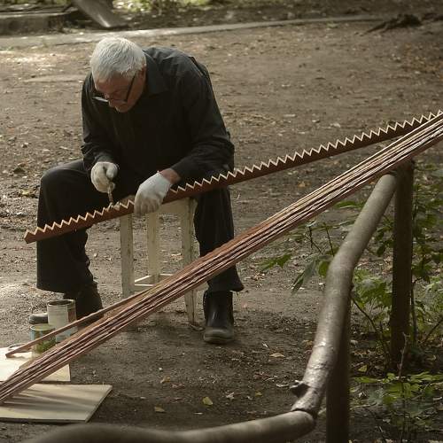 Photo #8593411