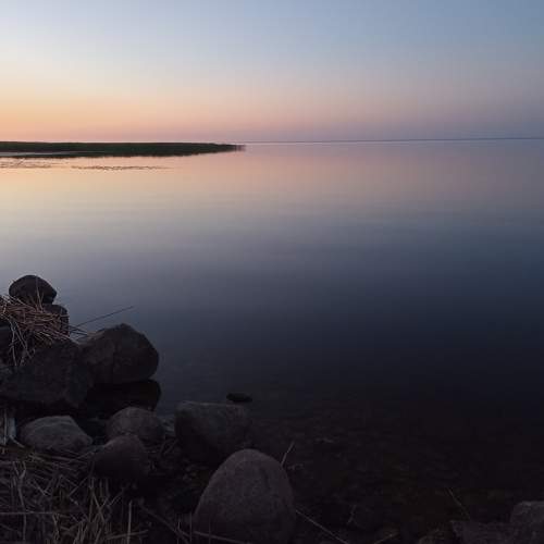Photo #8593450