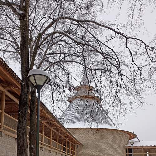 Photo #8593519