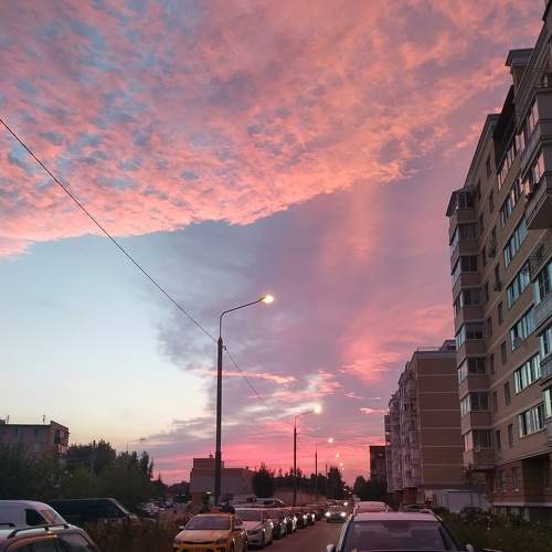 Photo #8593671