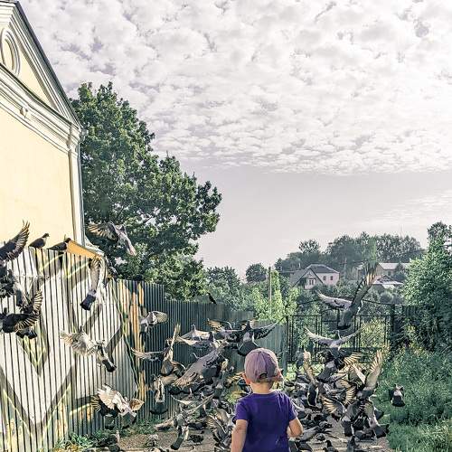 Photo #8593989