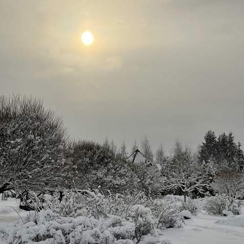 Photo #8594391