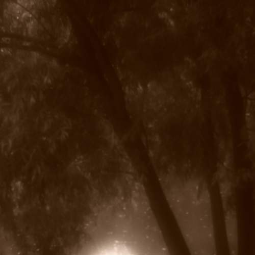 Photo #8594515