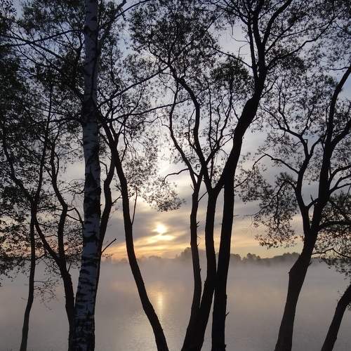 Photo #8594553