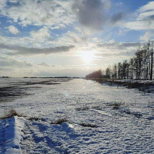 Photo #8594642