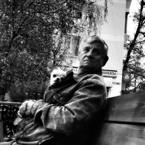 Photo #8594800