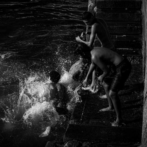 Photo #8594865