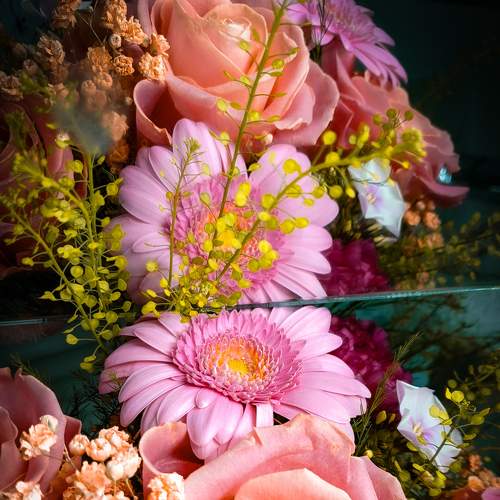 Photo #8595075