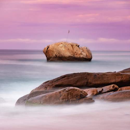 Photo #8595526