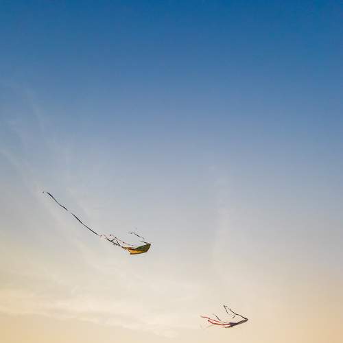 Photo #8595794