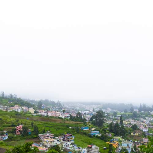 Photo #8595860