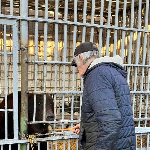Photo #8596070