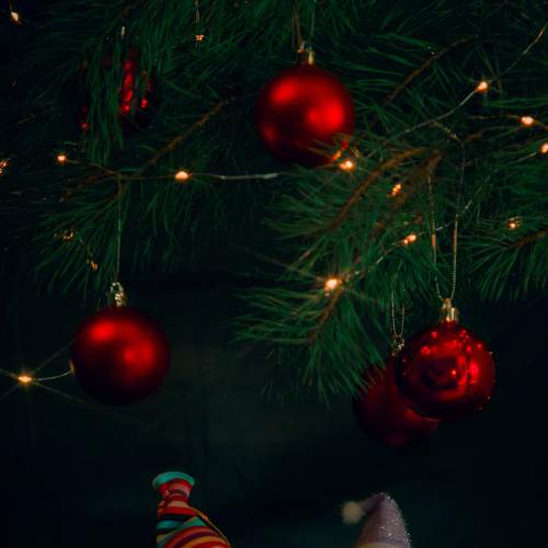 Photo #8596094