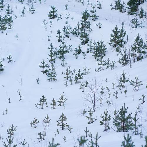 Photo #8596148