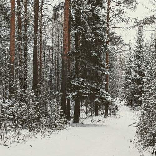 Photo #8596174