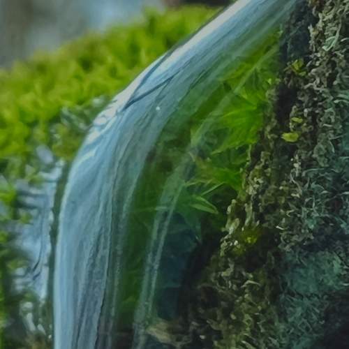 Photo #8596193