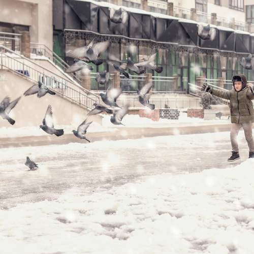 Photo #8596332