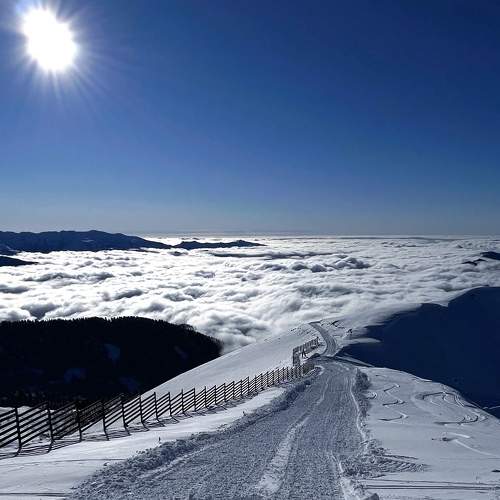 Photo #8596783