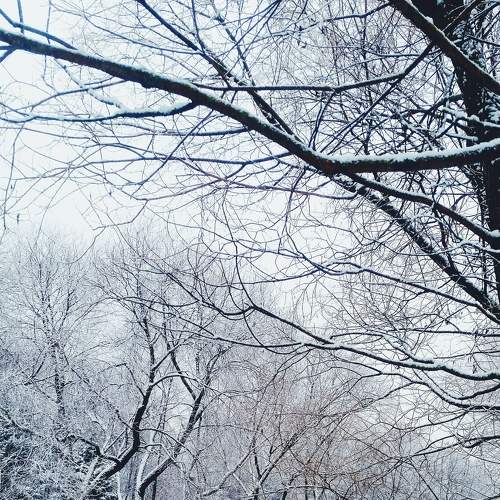 Photo #8597354